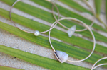 White Cone Shell Bangle